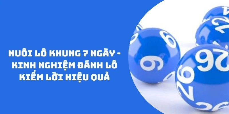 Hướng dẫn cách đầu tư vào lô khung 7 ngày có lãi